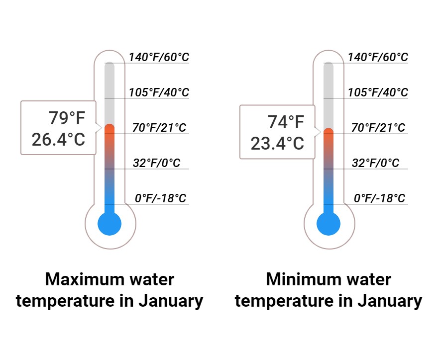 Average Sea temperature